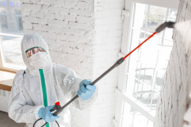 Best Mold Prevention Services  in Lavonia, GA