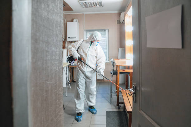 Best Dehumidification Services  in Lavonia, GA