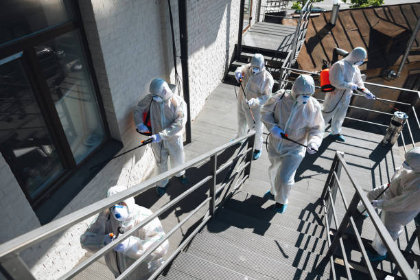 Best Commercial Mold Inspection  in Lavonia, GA