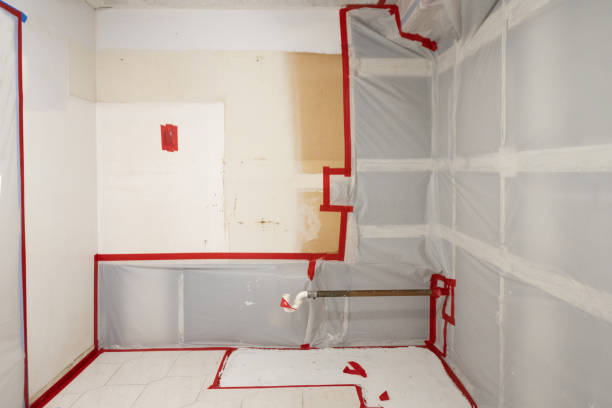  Lavonia, GA Mold Removal Pros