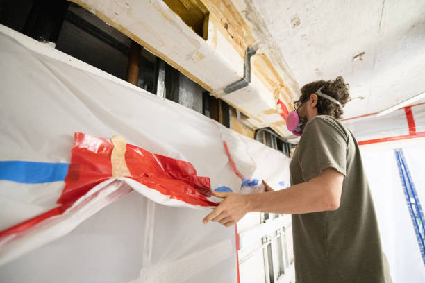 Best Mold Removal for HVAC Installations  in Lavonia, GA