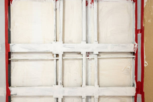 Best Airborne Mold Testing  in Lavonia, GA