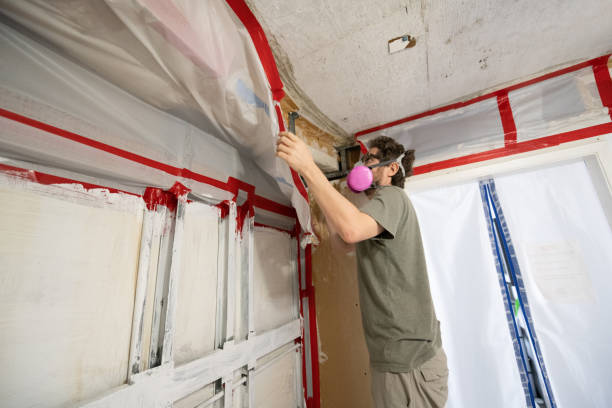 Mold Odor Removal Services in Lavonia, GA